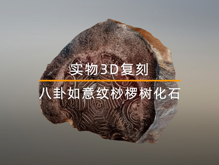八卦如意紋桫欏樹(shù)化石實(shí)物3D建模復刻