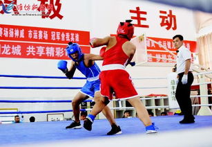 市運會拳擊比賽圓滿落幕，拳擊運動賽事組織與管理經驗總結