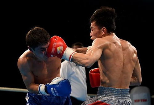 拳擊世錦賽中國雙雄晉級四強，明晨決戰奧運資格